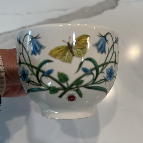 Set Of 2 Portmeirion Round Tea Cups 7oz. capacity botanical garden butterfly’s - Picture 7 of 10